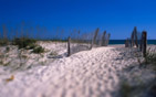 Summer wallpapers7